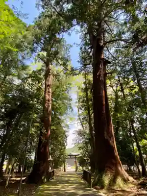 若狭彦神社（上社）(福井県)
