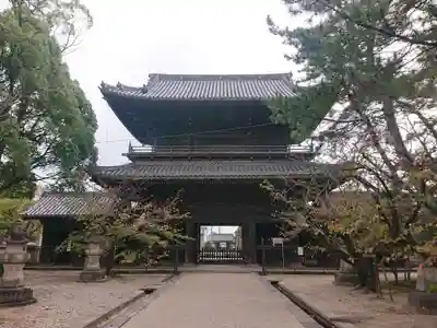 大樹寺(松安院大樹寺)の山門・神門