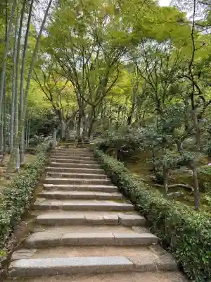 常寂光寺(京都府)