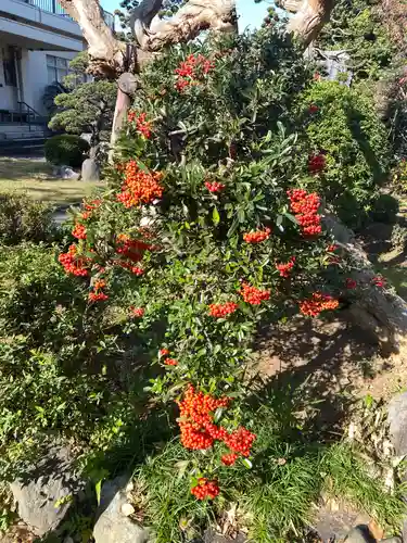 貞昌院の庭園