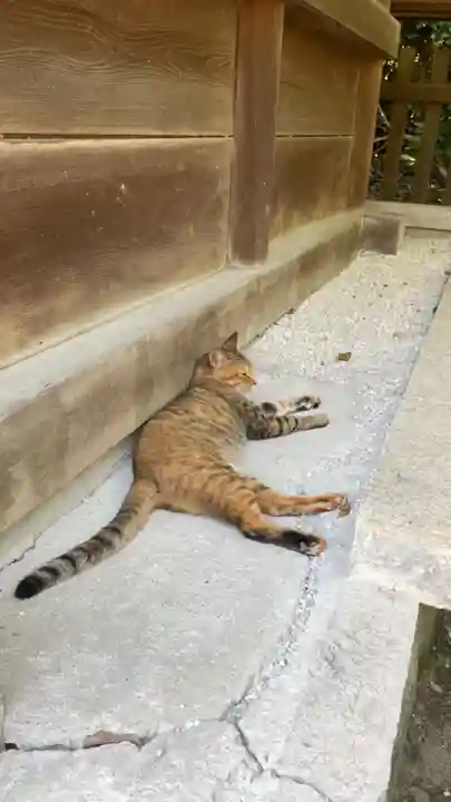 和泉國一之宮 大鳥大社の動物