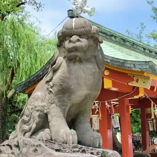 浅草神社の狛犬