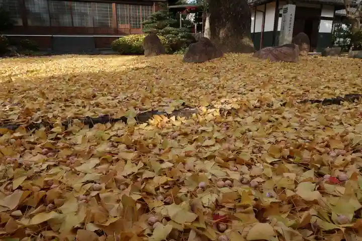 梅英寺(岐阜県)