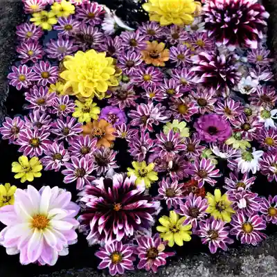 大鏑神社の手水舎