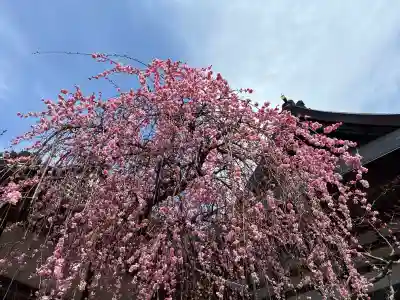 金輪寺の{uncategorized: "未分類", other: "その他", undefined: "問題あり", building: "その他建物", grave: "お墓", sacred_gate: "鳥居", guardian: "狛犬", statue: "像", buddha: "仏像", history: "歴史", nature: "自然", garden: "庭園", animal: "動物", pagoda: "塔", temizu: "手水舎", mountain_gate: "山門・神門", sanctuary: "本殿・本堂", subordinate: "末社・摂社", art: "芸術", scenery: "景色", jizo: "地蔵", ema: "絵馬", goshuin: "御朱印", omikuji: "おみくじ", items: "授与品その他", amulet: "お守り", goshuincho: "御朱印帳", eats: "食事", festival: "お祭り", votive_dance: "神楽", shichigosan: "七五三参", wedding: "結婚式", experience: "体験その他", initially: "初詣", around: "周辺", anti_infection: "感染症対策"}
