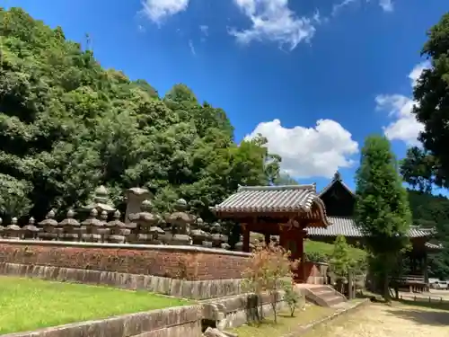 随願寺のお墓