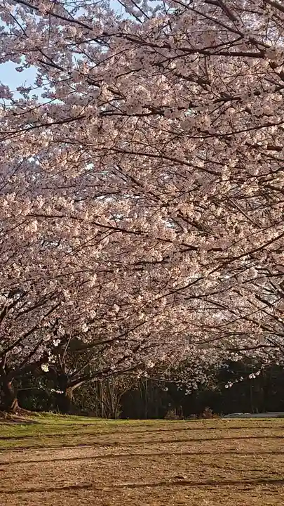 貴船神社の自然