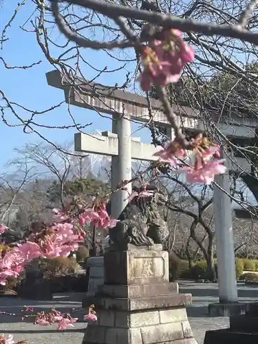 富士山本宮浅間大社の鳥居