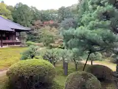 隨心院（随心院）の庭園