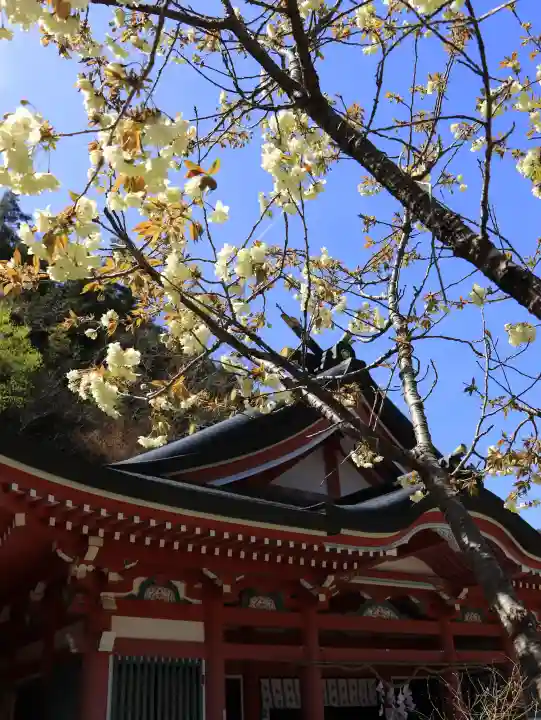 夫婦木神社姫の宮の{uncategorized: "未分類", other: "その他", undefined: "問題あり", building: "その他建物", grave: "お墓", sacred_gate: "鳥居", guardian: "狛犬", statue: "像", buddha: "仏像", history: "歴史", nature: "自然", garden: "庭園", animal: "動物", pagoda: "塔", temizu: "手水舎", mountain_gate: "山門・神門", sanctuary: "本殿・本堂", subordinate: "末社・摂社", art: "芸術", scenery: "景色", jizo: "地蔵", ema: "絵馬", goshuin: "御朱印", omikuji: "おみくじ", items: "授与品その他", amulet: "お守り", goshuincho: "御朱印帳", eats: "食事", festival: "お祭り", votive_dance: "神楽", shichigosan: "七五三参", wedding: "結婚式", experience: "体験その他", initially: "初詣", around: "周辺", anti_infection: "感染症対策"}
