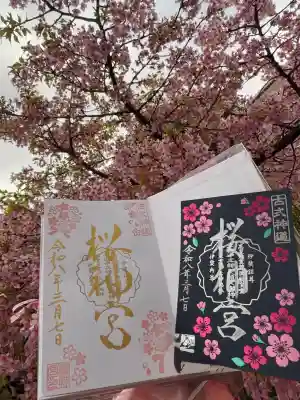 桜神宮の御朱印