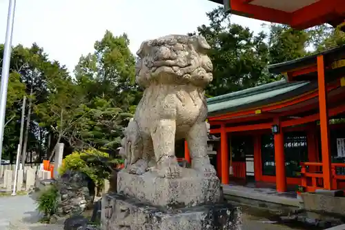 多治速比売神社の狛犬