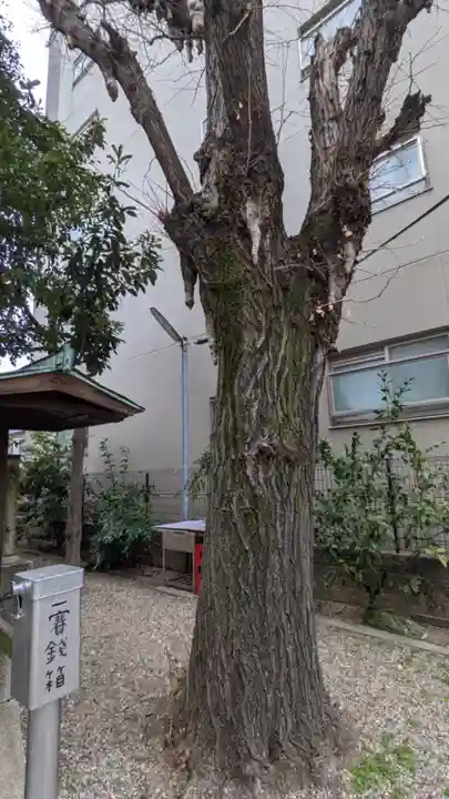 須佐之男社の自然