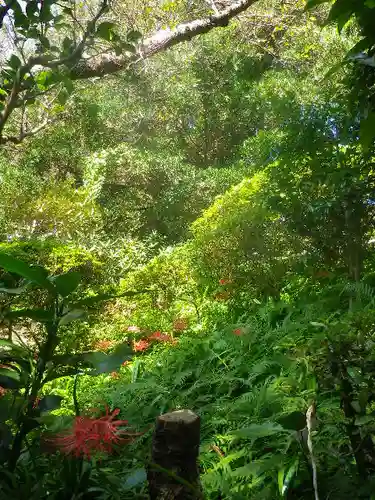 浄光明寺の庭園