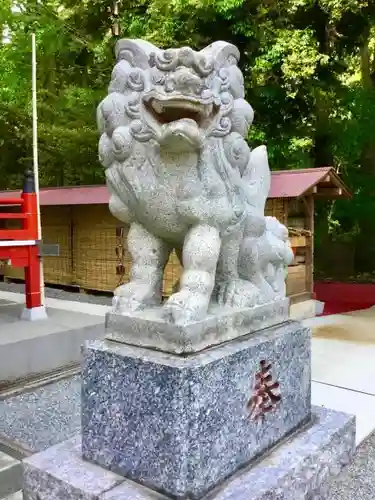 南大沢八幡神社の狛犬