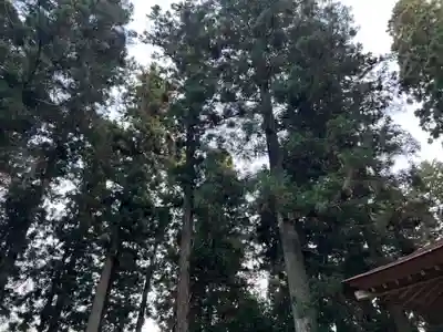 大宮温泉神社(栃木県)