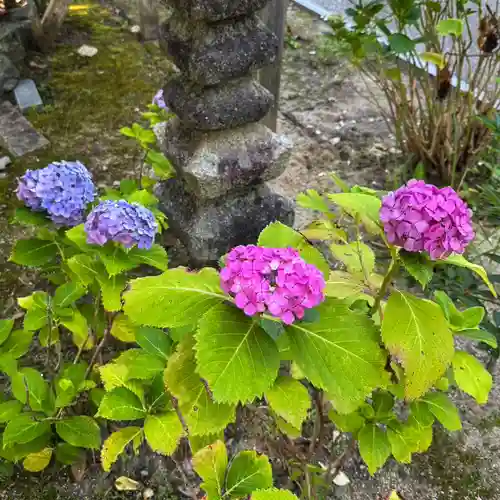 伊勢の国 四天王寺(三重県)