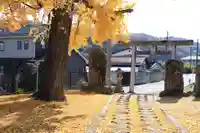 熊野神社の鳥居
