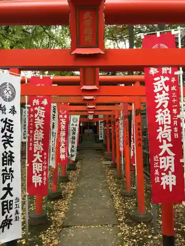 鬼子母神堂　(法明寺）の鳥居