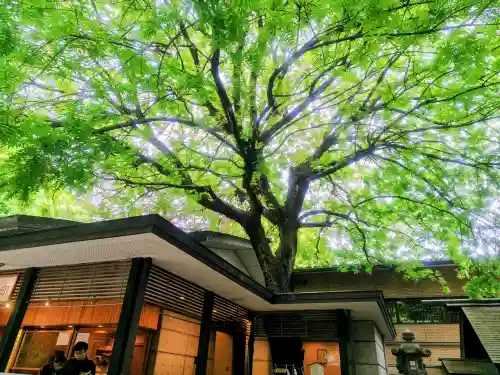 乃木神社の{uncategorized: "未分類", other: "その他", undefined: "問題あり", building: "その他建物", grave: "お墓", sacred_gate: "鳥居", guardian: "狛犬", statue: "像", buddha: "仏像", history: "歴史", nature: "自然", garden: "庭園", animal: "動物", pagoda: "塔", temizu: "手水舎", mountain_gate: "山門・神門", sanctuary: "本殿・本堂", subordinate: "末社・摂社", art: "芸術", scenery: "景色", jizo: "地蔵", ema: "絵馬", goshuin: "御朱印", omikuji: "おみくじ", items: "授与品その他", amulet: "お守り", goshuincho: "御朱印帳", eats: "食事", festival: "お祭り", votive_dance: "神楽", shichigosan: "七五三参", wedding: "結婚式", experience: "体験その他", initially: "初詣", around: "周辺", anti_infection: "感染症対策"}