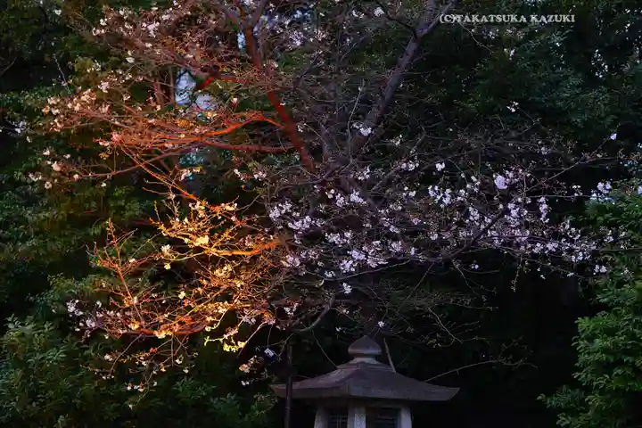 靖國神社(東京都)