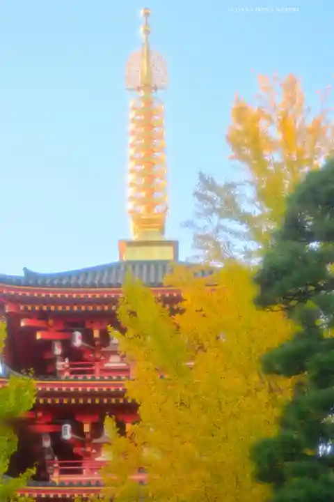 高幡不動尊 金剛寺(東京都)