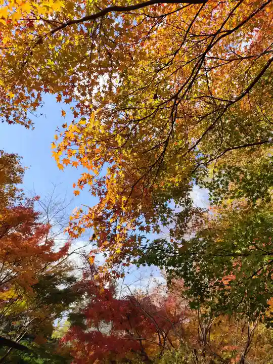 根来寺(和歌山県)