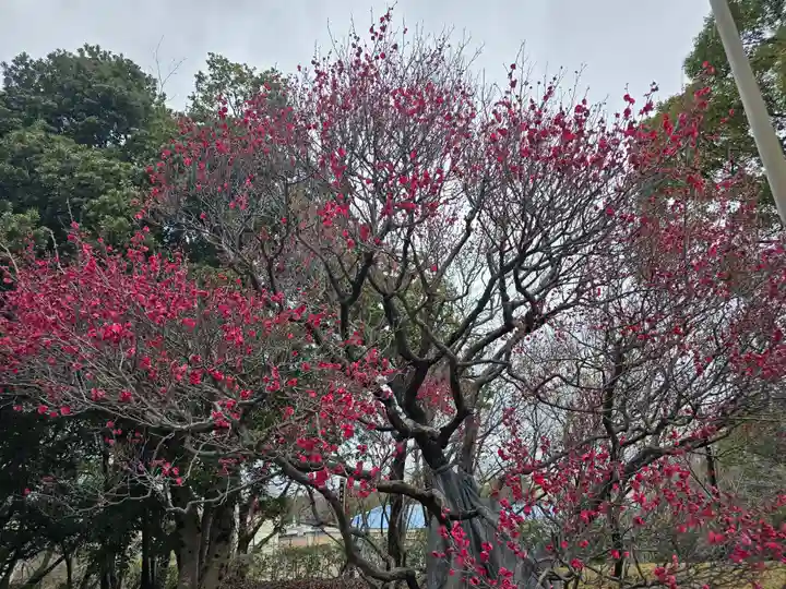 多治速比売神社(大阪府)