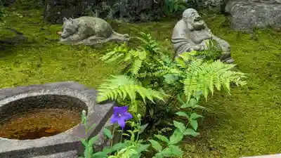 雙林寺(双林寺)(京都府)