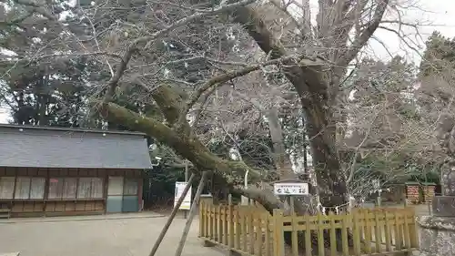 水戸八幡宮(茨城県)