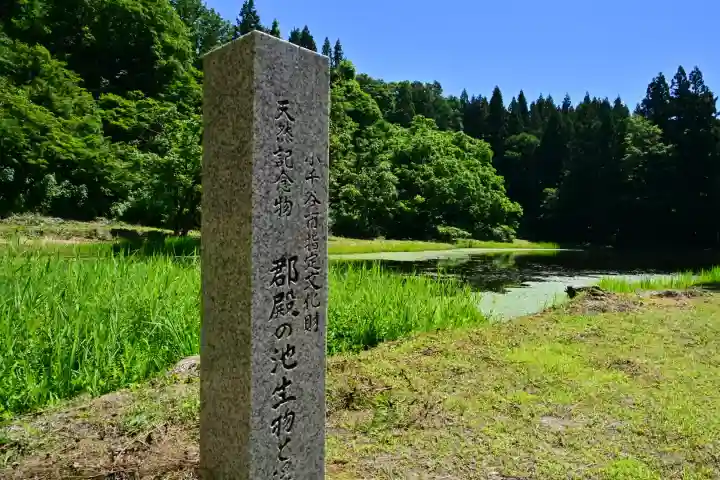 郡殿の池弁財天社(新潟県)