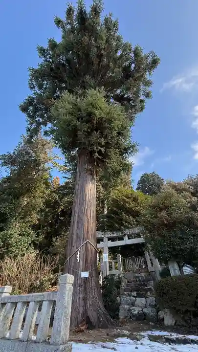 天満神社(兵庫県)