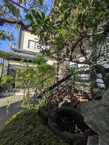 宗恩寺(東京都)