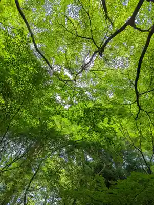 光明寺瑠璃光院(京都府)