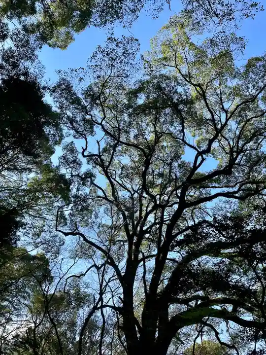 石穴稲荷神社(福岡県)