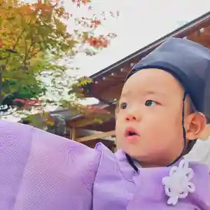 總社 和田八幡宮(福井県)(2024年08月18日(日) 19時06分16秒投稿)