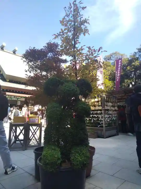 東京大神宮の庭園