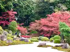 くろ谷 金戒光明寺(京都府)