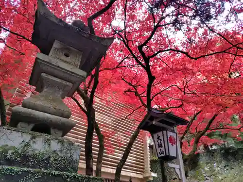 最乗寺（道了尊）(神奈川県)