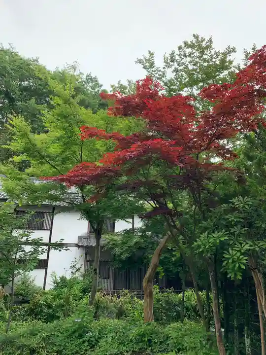 秩父札所1番 四萬部寺(埼玉県)