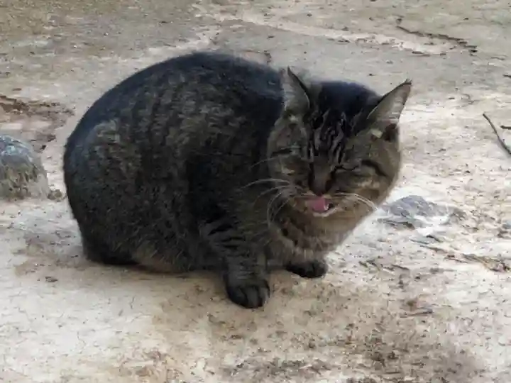 王子神社の動物