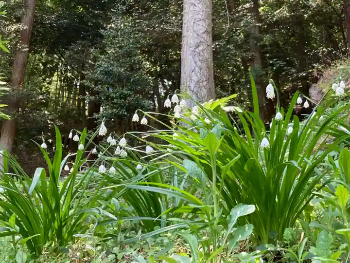 温泉神社〜いわき湯本温泉〜の自然