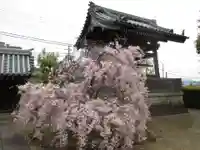 上品蓮台寺の自然