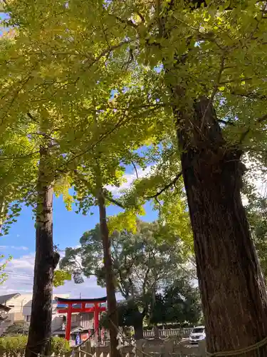 玉前神社(千葉県)