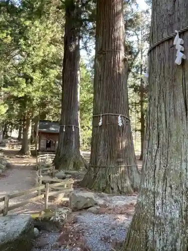 河口浅間神社の{uncategorized: "未分類", other: "その他", undefined: "問題あり", building: "その他建物", grave: "お墓", sacred_gate: "鳥居", guardian: "狛犬", statue: "像", buddha: "仏像", history: "歴史", nature: "自然", garden: "庭園", animal: "動物", pagoda: "塔", temizu: "手水舎", mountain_gate: "山門・神門", sanctuary: "本殿・本堂", subordinate: "末社・摂社", art: "芸術", scenery: "景色", jizo: "地蔵", ema: "絵馬", goshuin: "御朱印", omikuji: "おみくじ", items: "授与品その他", amulet: "お守り", goshuincho: "御朱印帳", eats: "食事", festival: "お祭り", votive_dance: "神楽", shichigosan: "七五三参", wedding: "結婚式", experience: "体験その他", initially: "初詣", around: "周辺", anti_infection: "感染症対策"}