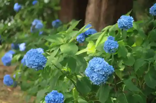 三春大神宮の庭園