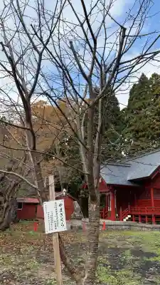 矢不来天満宮(北海道)