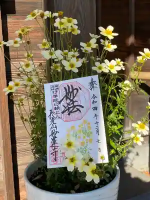 妙蓮寺(神奈川県)