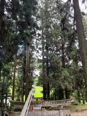 大宮温泉神社(栃木県)