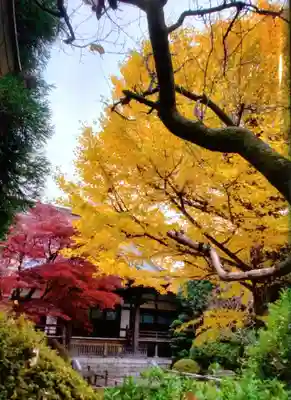 高円寺(東京都)